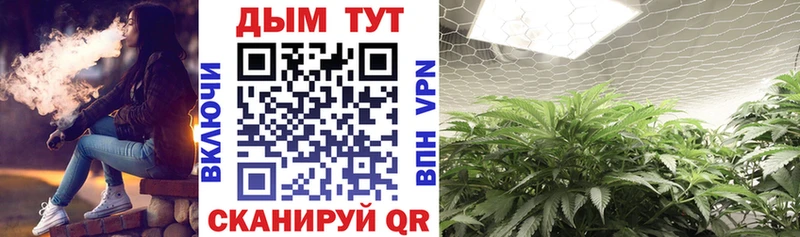 купить наркотик  Котово  Бошки Шишки план 